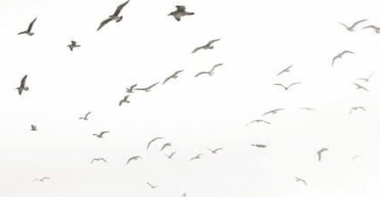 IMG_8599